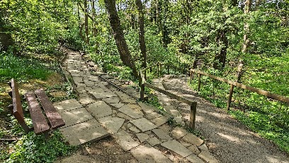 Churwell Urban Woodlands - Daffil Woods