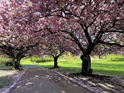 Friarwood Valley Gardens
