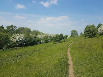 YWT Sherburn Willows Nature Reserve